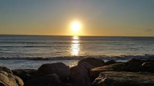 11391512_10207189808408162_7499869454558264499_n