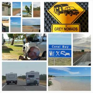 11406793_10207201467059621_5209289259902511632_n