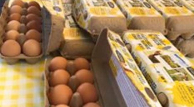 June/July 2019              Egg Collectors Extraordinare!